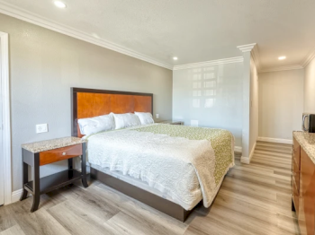 A neatly arranged, modern hotel room with a large bed, nightstand, TV, microwave, wood flooring, and grey walls, it exudes a clean, minimalistic vibe.