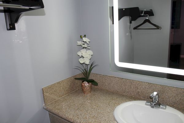 A bathroom countertop with a vase of white flowers, a sink with a faucet, a wall-mounted mirror with lights, and a hanger rack in the background.