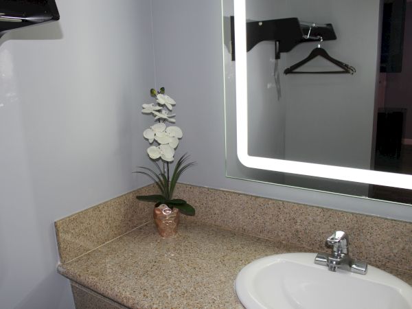 A bathroom countertop with a vase of white flowers, a sink with a faucet, a wall-mounted mirror with lights, and a hanger rack in the background.