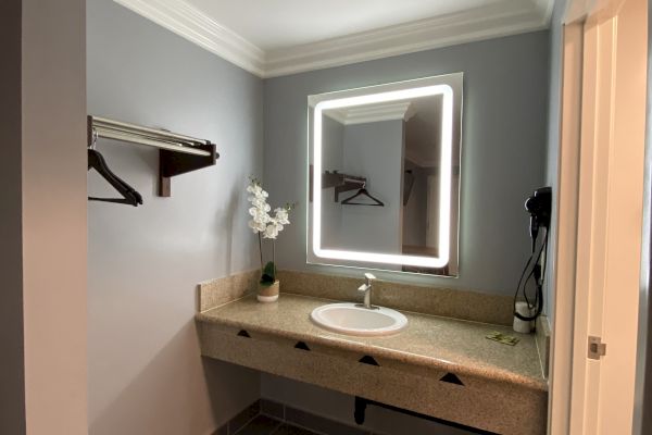 This image shows a bathroom with a lighted mirror, sink, countertop with an orchid plant, coat hangers on the wall, and gray tiles on the floor.