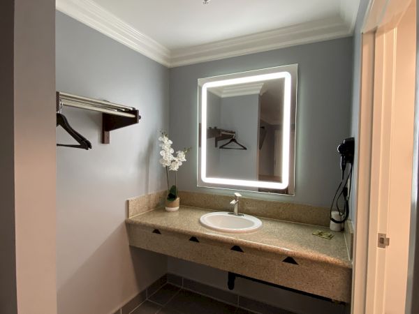 This image shows a bathroom with a lighted mirror, sink, countertop with an orchid plant, coat hangers on the wall, and gray tiles on the floor.