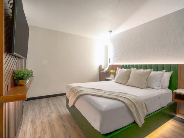 A modern, minimalist bedroom with a bed, pillows, a blanket, TV, plant, and soft lighting creates a cozy atmosphere.
