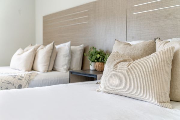 A neatly arranged bedroom with two beds, each adorned with beige and white pillows, separated by a small table with potted plants.