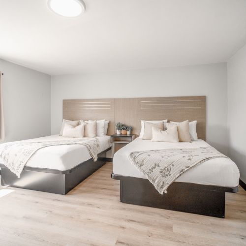 The image shows a modern hotel room with two neatly made beds, a nightstand with plants, and a large window letting in natural light.
