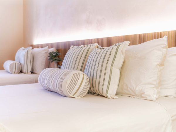 A bright hotel bedroom with a large bed, white linens, and striped pillows; soft natural light and a small plant on the headboard.