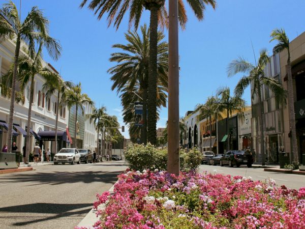 A sunny street with palm trees, colorful flowers in a planter, and a mix of classic and modern buildings, featuring parked cars.
