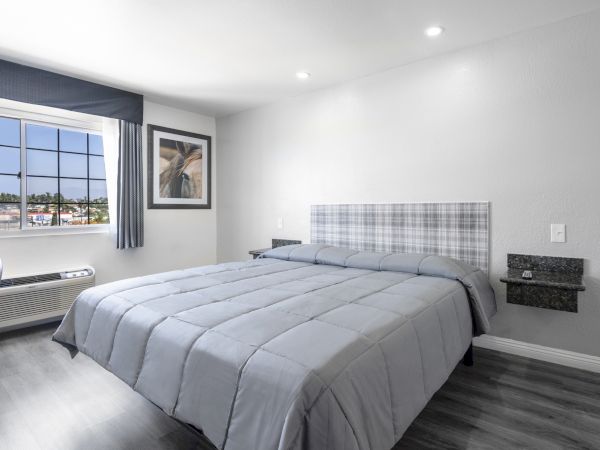 A bright modern bedroom with a large bed, plaid headboard, framed horse photo, window curtains, and a granite nightstand.