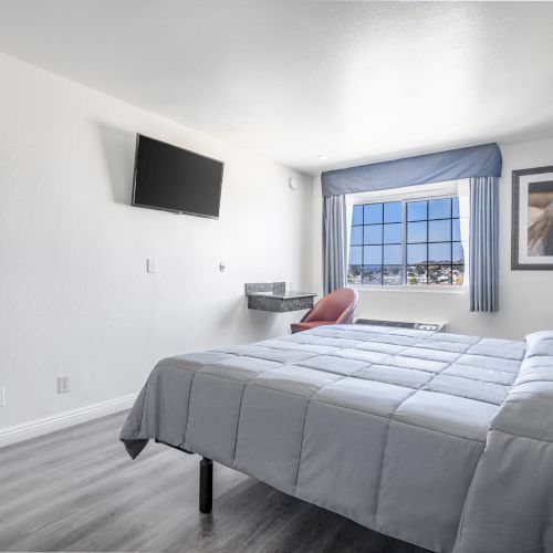 A bright modern bedroom with a large bed, wall TV, blue curtains, window view, and horse artwork.